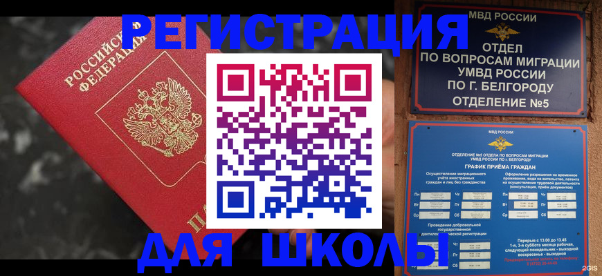 временная прописка в Щёлково