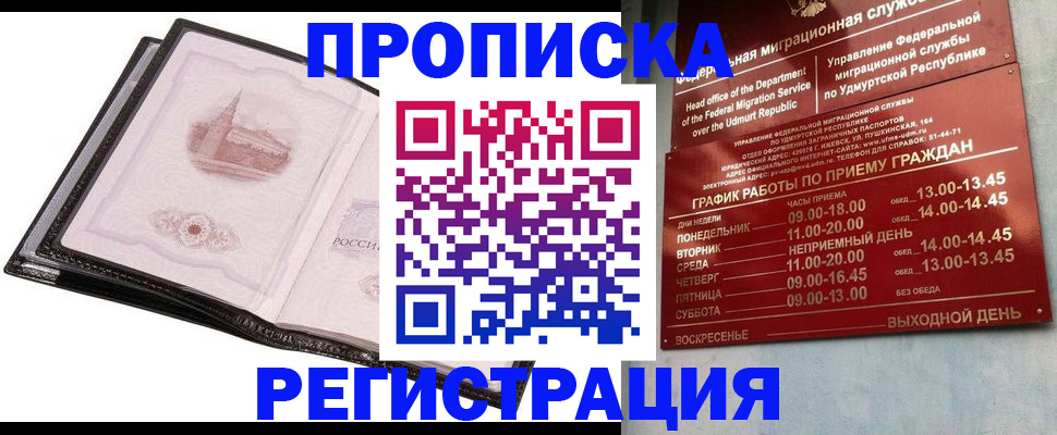 прописка 2025 в Щёлково